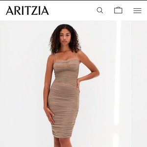 Babaton ruched dress in the colour clay